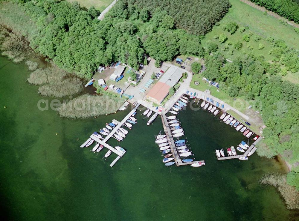 Waren / Müritz from the bird's eye view: Yachthafen der Sail Point Wassersportservice in Waren an der Müritz. Postanschrift: Gerhard-Hauptmann-Allee 27 in 17192 Waren, Tel.: 03991-666690 oder 0172- 8036633