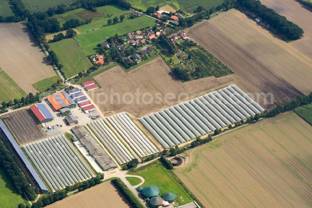 Aerial photograph Deinste - Covered rows with asparagus growing on field surfaces in Deinste in the state Lower Saxony, Germany