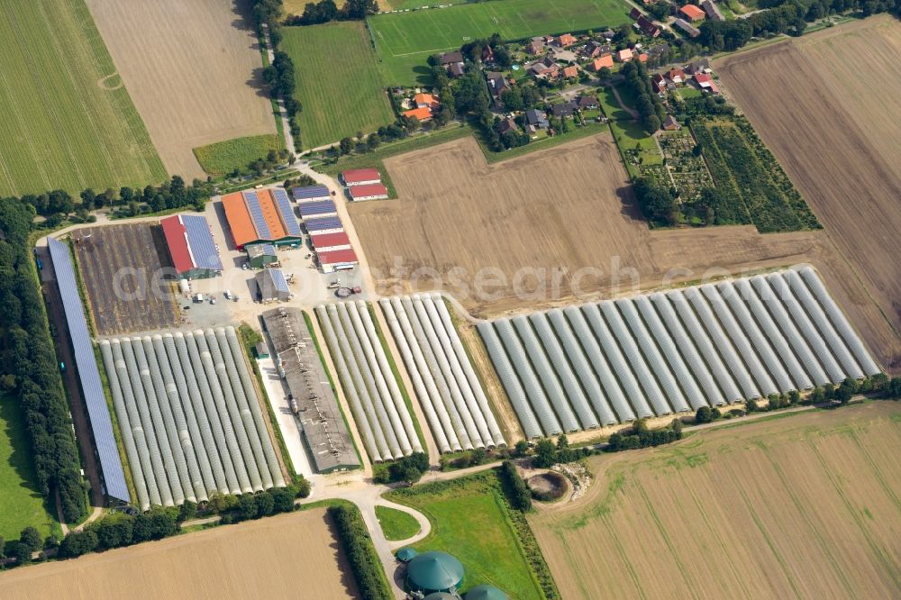 Deinste from above - Covered rows with asparagus growing on field surfaces in Deinste in the state Lower Saxony, Germany