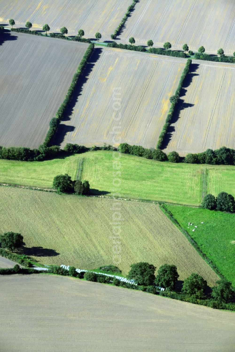 Harmsdorf from above - Harvested field in both landscape structures Harmsdorf in Schleswig-Holstein