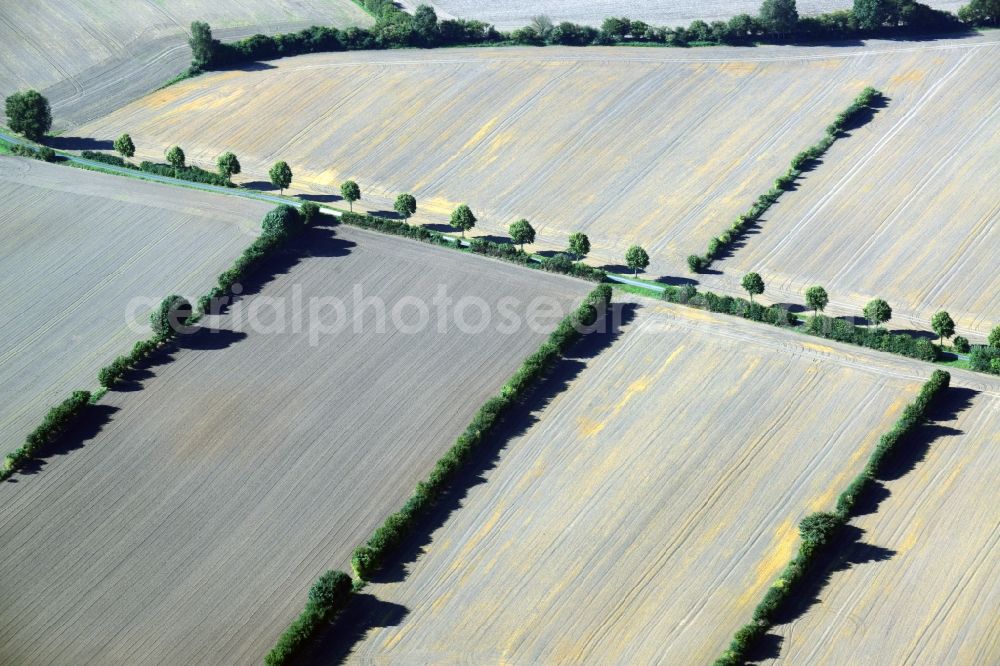 Aerial image Harmsdorf - Harvested field in both landscape structures Harmsdorf in Schleswig-Holstein