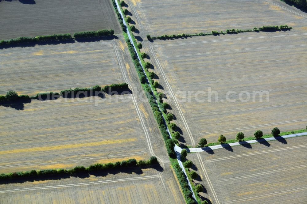 Harmsdorf from the bird's eye view: Harvested field in both landscape structures Harmsdorf in Schleswig-Holstein