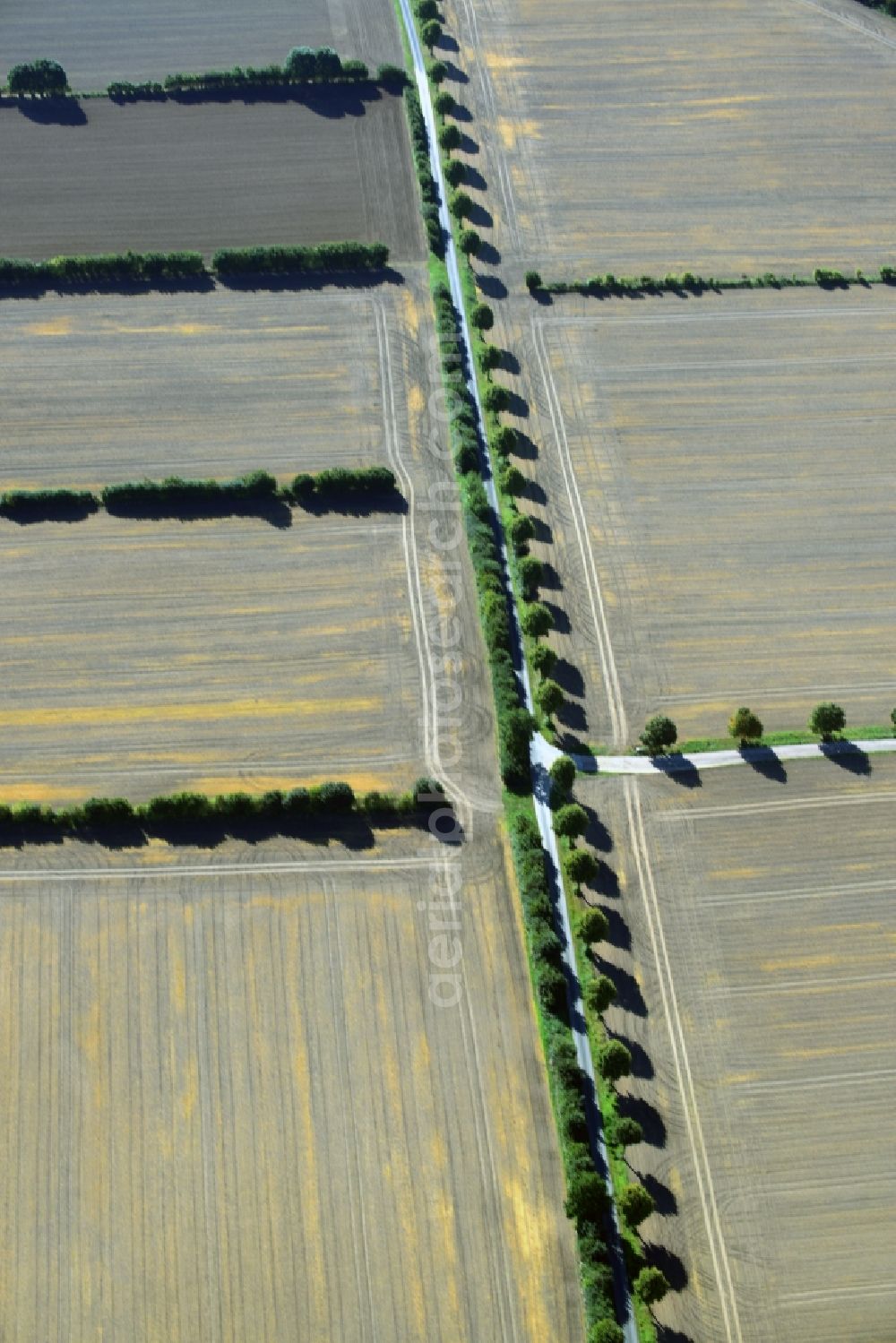 Aerial image Harmsdorf - Harvested field in both landscape structures Harmsdorf in Schleswig-Holstein