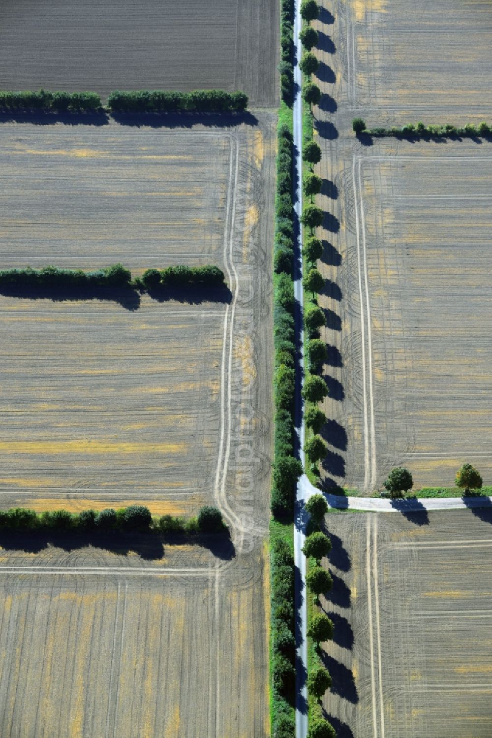 Aerial photograph Harmsdorf - Harvested field in both landscape structures Harmsdorf in Schleswig-Holstein