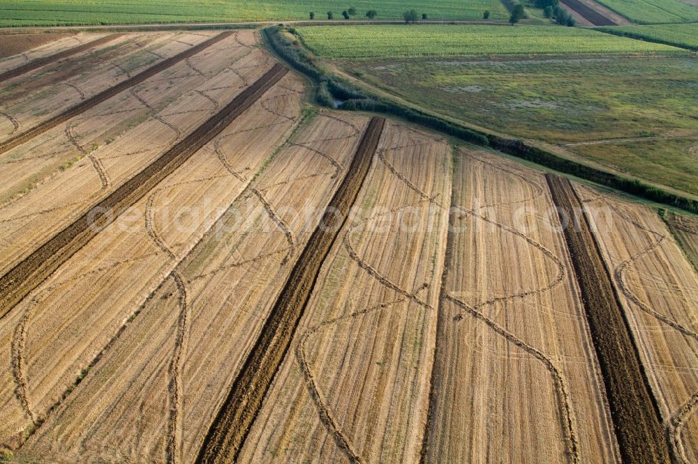 Anatraia from above - Field structures of a harvested grain field in Anatraia in Toscana, Italy