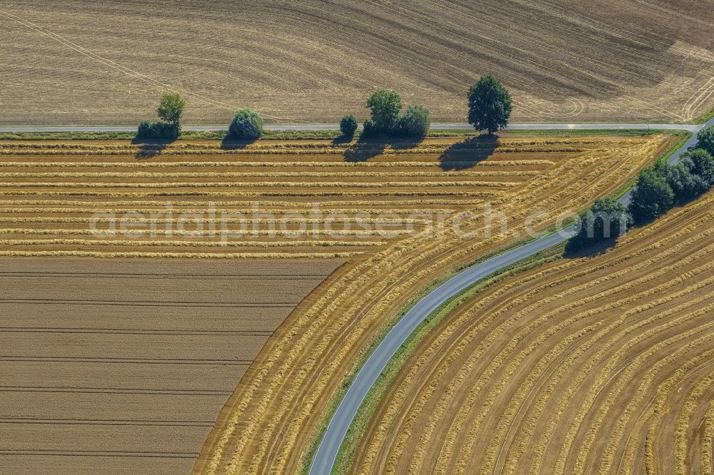 Aerial image Eineckerholsen - Field structures of a harvested grain field in Eineckerholsen at Ruhrgebiet in the state North Rhine-Westphalia, Germany