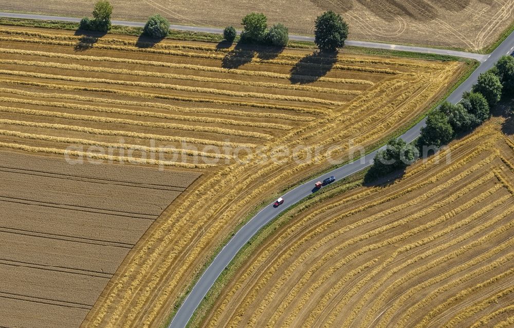 Aerial photograph Eineckerholsen - Field structures of a harvested grain field in Eineckerholsen at Ruhrgebiet in the state North Rhine-Westphalia, Germany