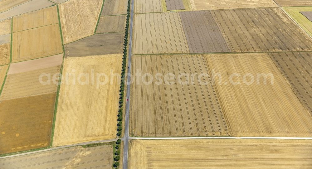 Aerial image Holzheim - Field structures of a harvested grain field in Holzheim in the state Rhineland-Palatinate