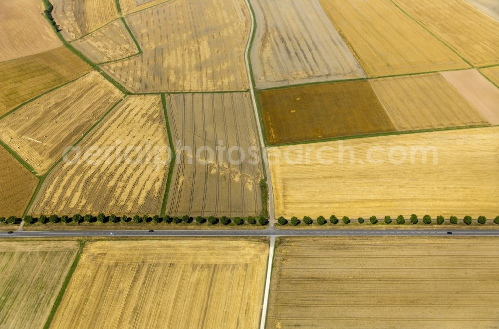 Aerial photograph Holzheim - Field structures of a harvested grain field in Holzheim in the state Rhineland-Palatinate