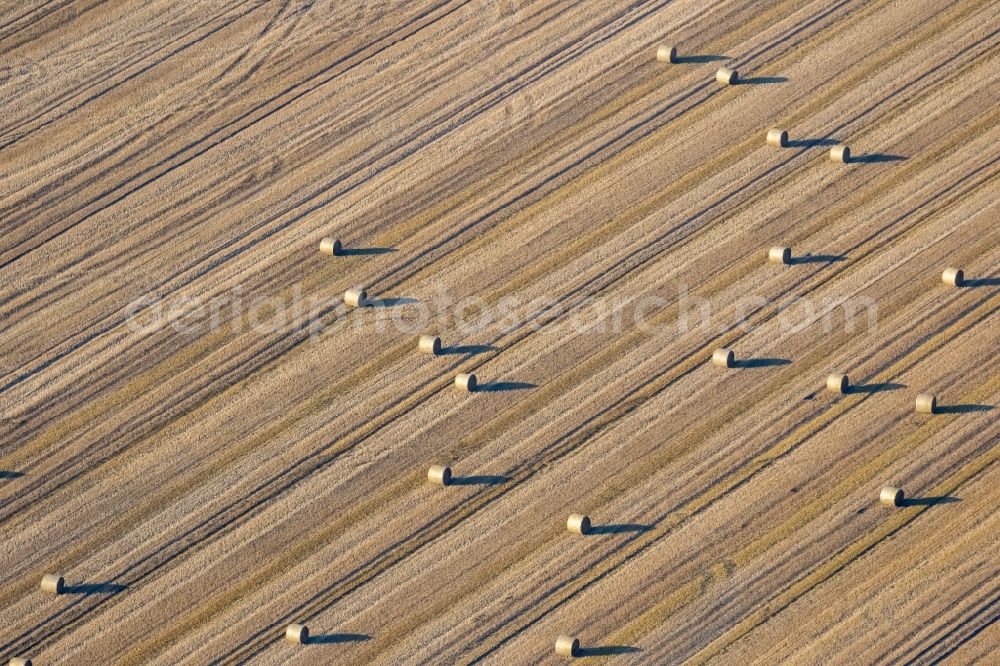 Aerial image Lünen - Field structures of a harvested grain field in Luenen in the state North Rhine-Westphalia, Germany