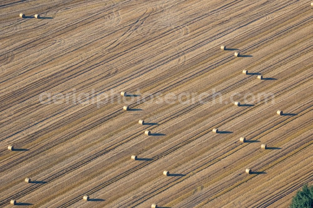 Aerial photograph Lünen - Field structures of a harvested grain field in Luenen in the state North Rhine-Westphalia, Germany