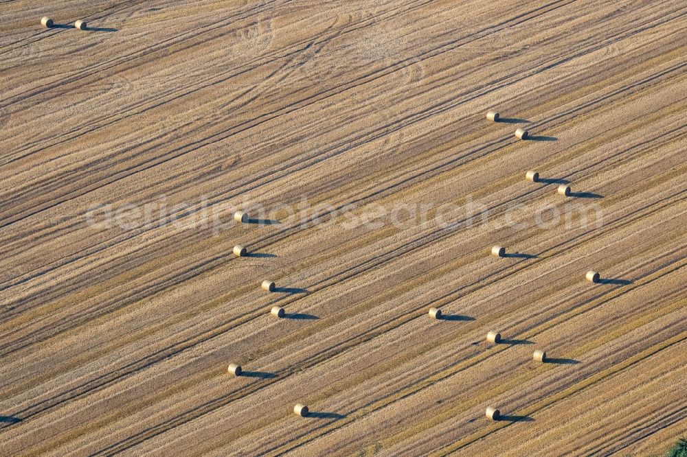 Lünen from above - Field structures of a harvested grain field in Luenen in the state North Rhine-Westphalia, Germany