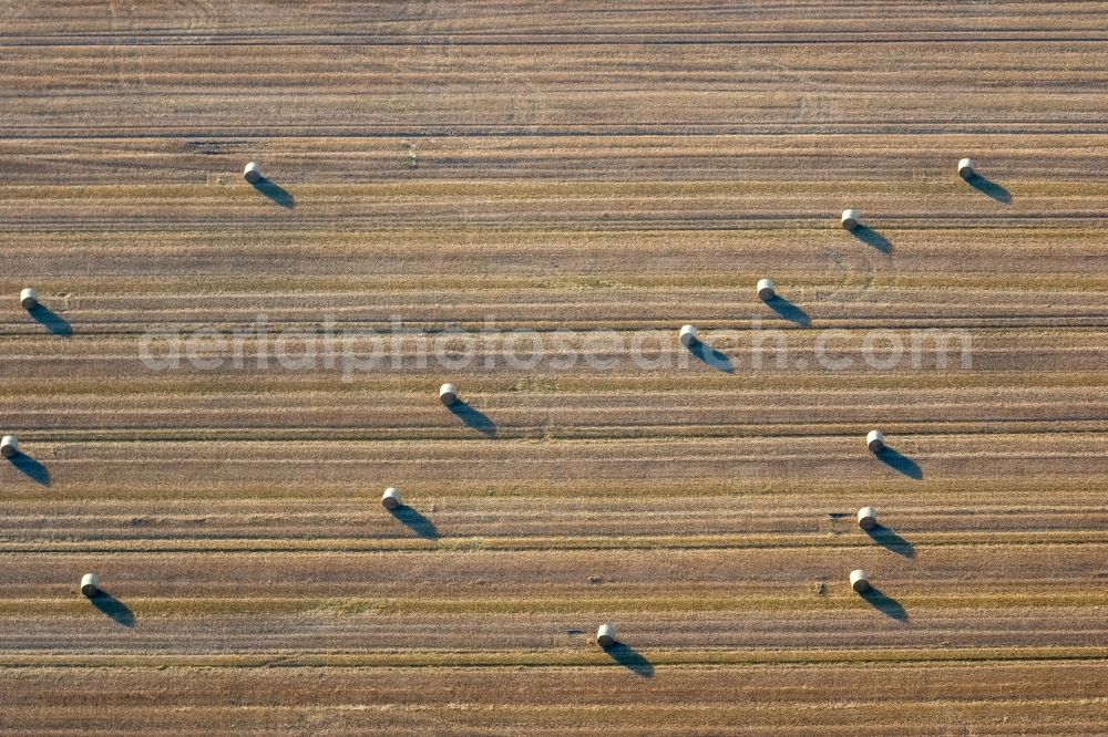 Aerial image Lünen - Field structures of a harvested grain field in Luenen in the state North Rhine-Westphalia, Germany