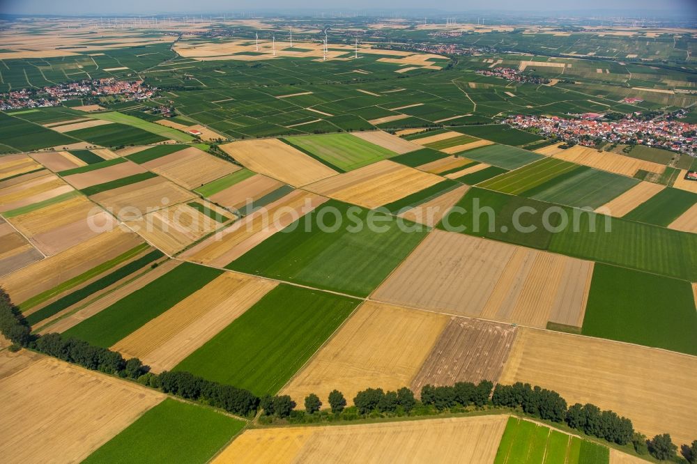 Aerial photograph Mörstadt - Field structures of a harvested grain field in Moerstadt in the state Rhineland-Palatinate