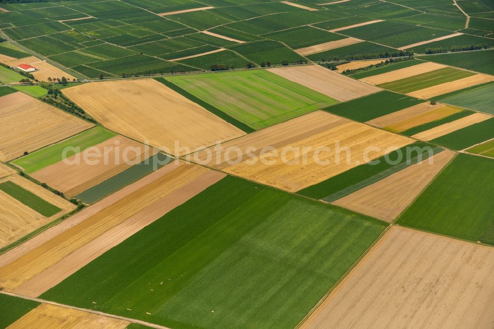 Mörstadt from above - Field structures of a harvested grain field in Moerstadt in the state Rhineland-Palatinate