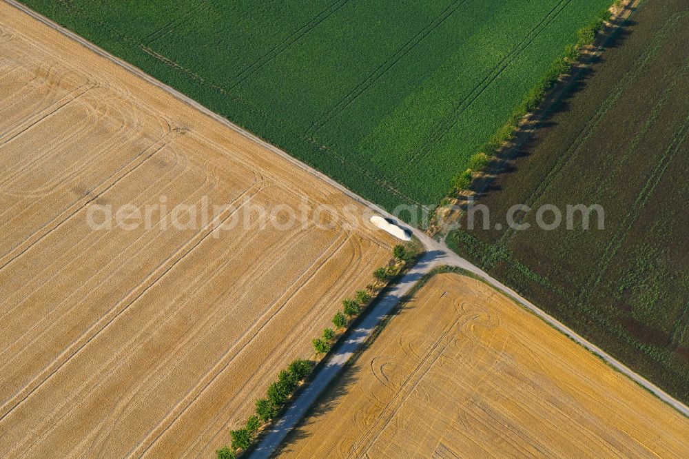 Osthausen from above - Field structures of a harvested grain field in Osthausen in the state Thuringia, Germany
