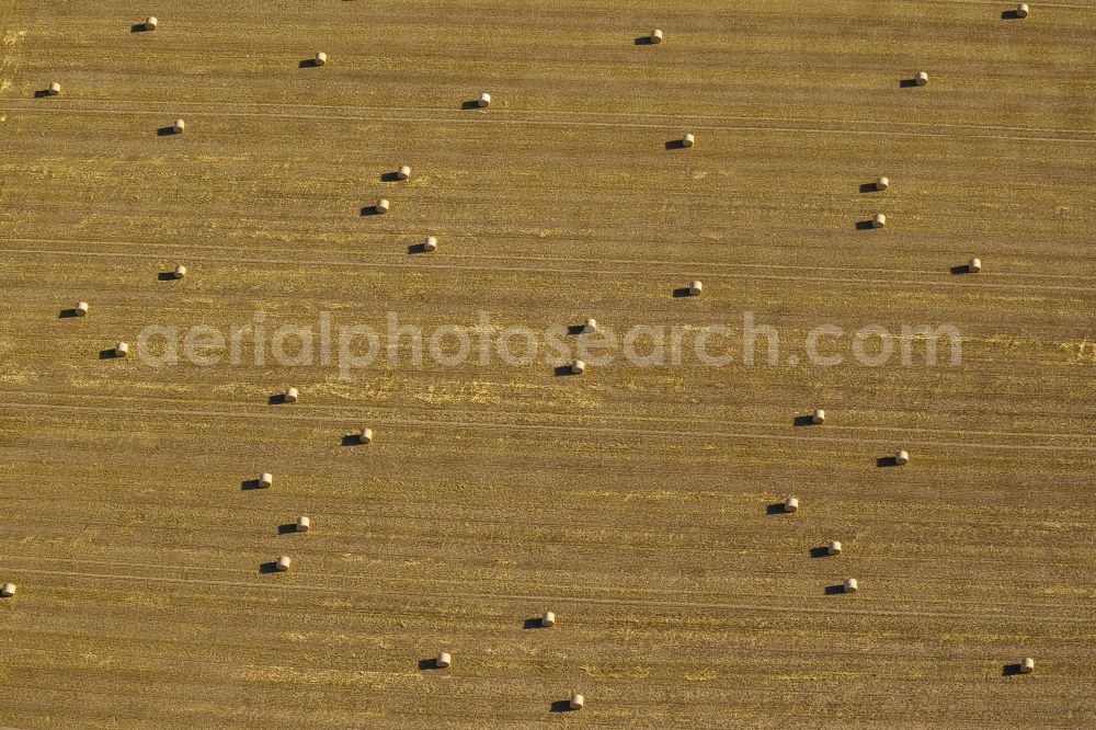 Emmerich from the bird's eye view: Harvested grain field with straw bales near Emmerich in North Rhine-Westphalia