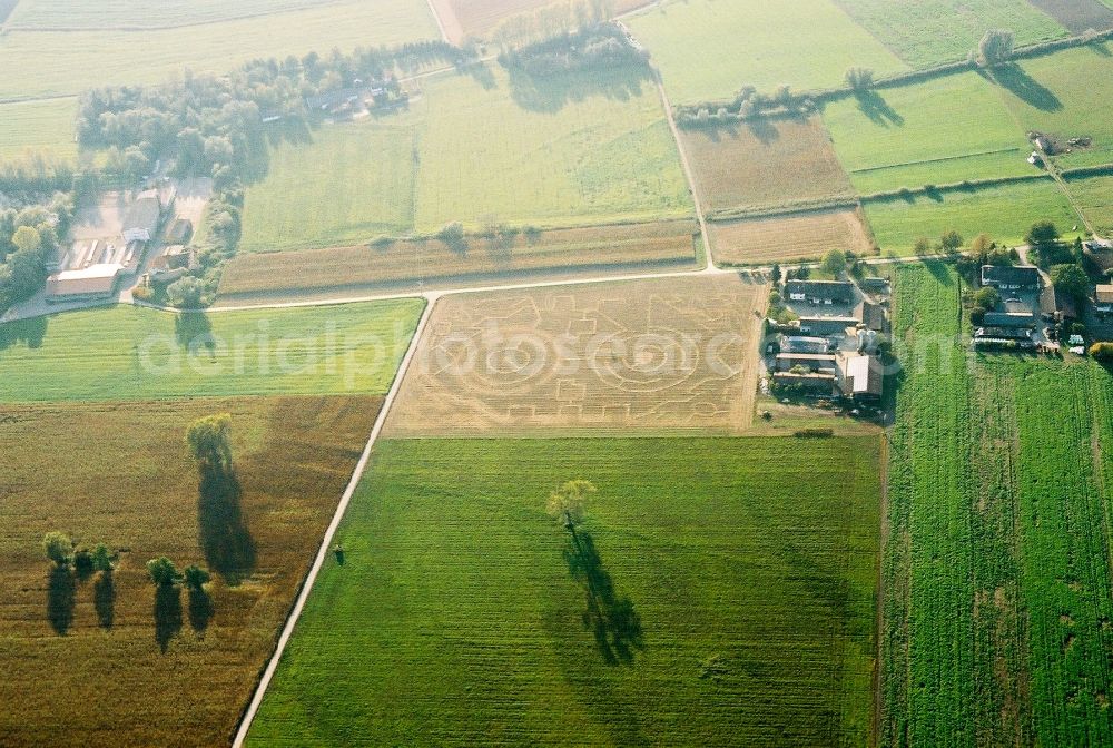 Hockenheim from above - Corn-Maze - Labyrinth in a former corn-field in Hockenheim in the state Baden-Wuerttemberg