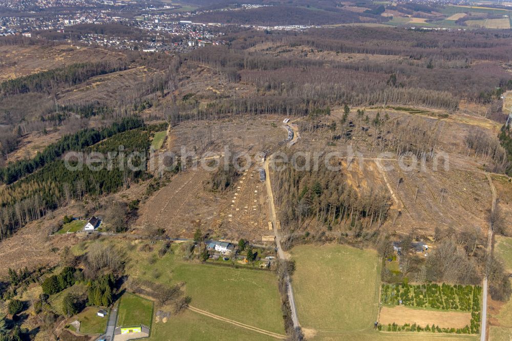 Arnsberg from the bird's eye view: Tree dying and forest dying with skeletons of dead trees in the remnants of a forest area on street Hirschbergweg in the district Neheim in Arnsberg at Sauerland in the state North Rhine-Westphalia, Germany