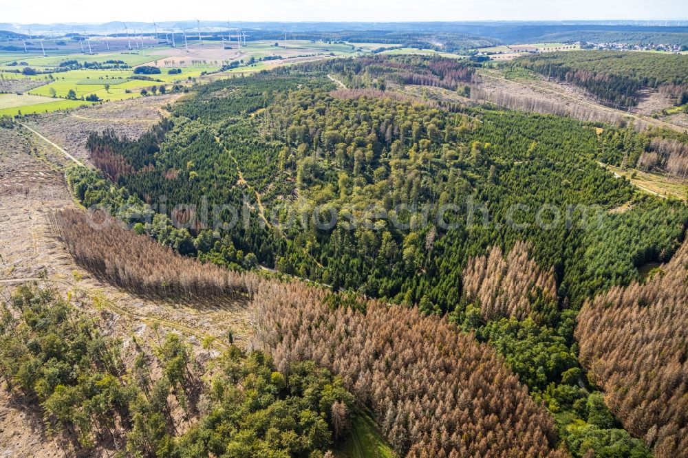 Aerial image Hemmecker Bruch - Tree dying and forest dying with skeletons of dead trees in the remnants of a forest area in Hemmecker Bruch in the state North Rhine-Westphalia, Germany