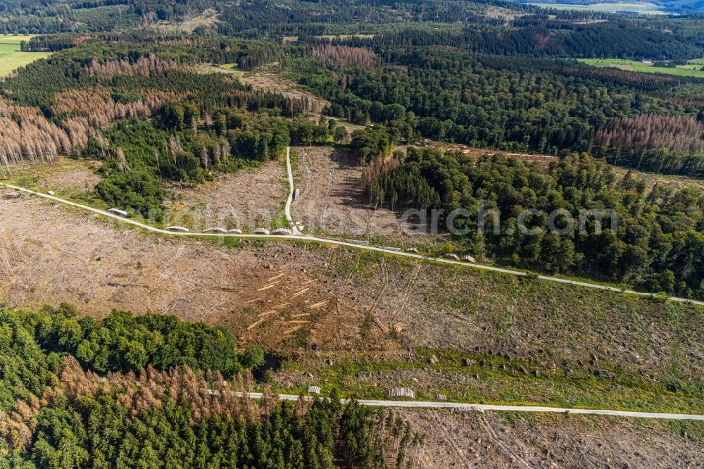 Aerial photograph Hemmecker Bruch - Tree dying and forest dying with skeletons of dead trees in the remnants of a forest area in Hemmecker Bruch in the state North Rhine-Westphalia, Germany