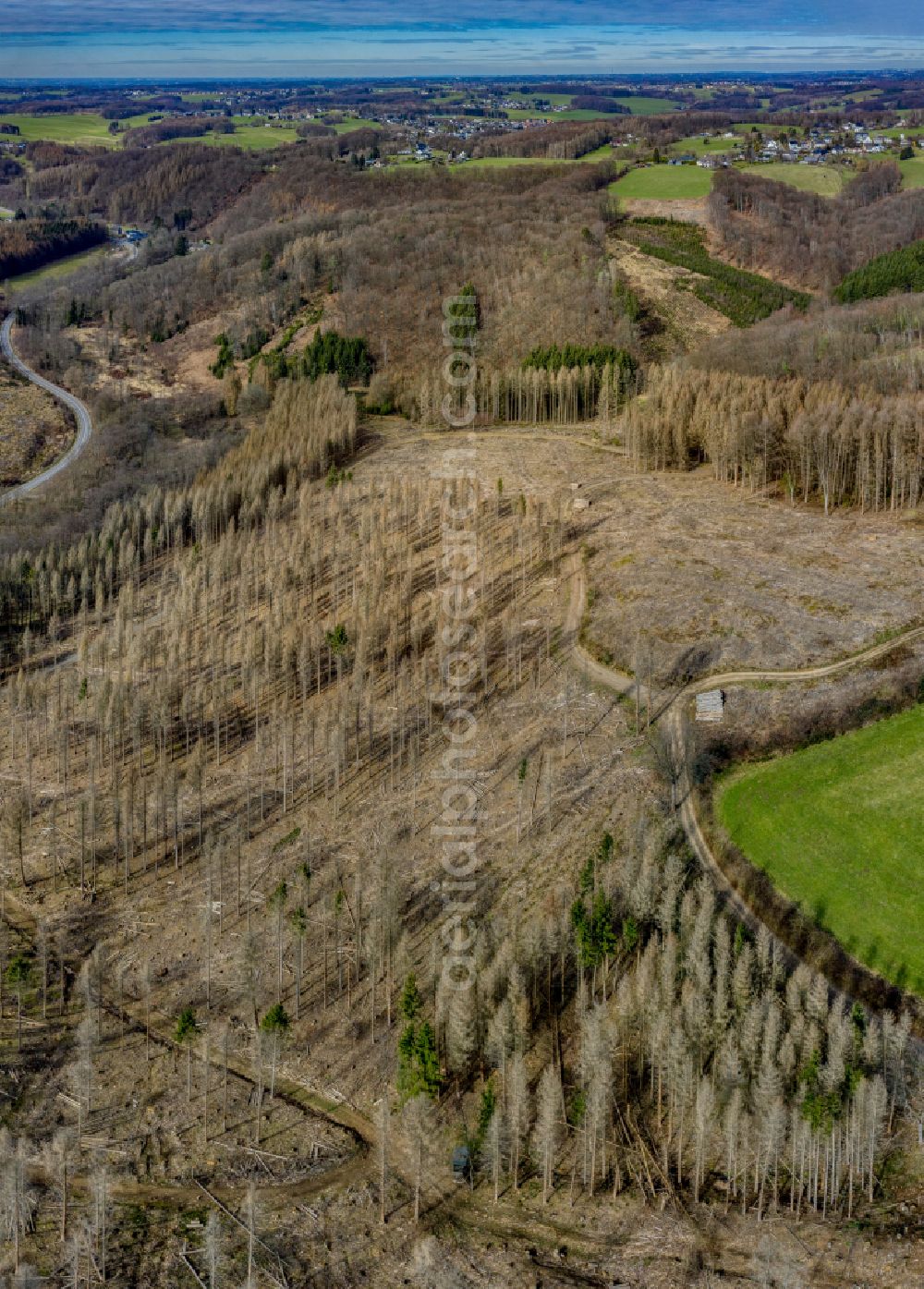 Aerial image Unterbörsch - Tree dying and forest dying with skeletons of dead trees in the remnants of a forest area in Unterboersch in the state North Rhine-Westphalia, Germany