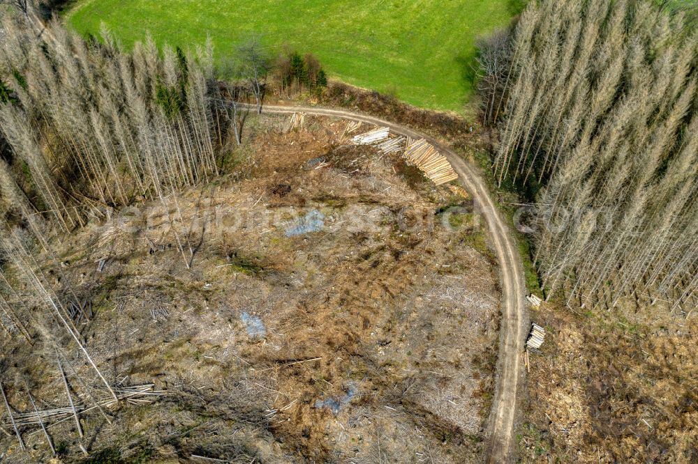 Unterbörsch from above - Tree dying and forest dying with skeletons of dead trees in the remnants of a forest area in Unterboersch in the state North Rhine-Westphalia, Germany