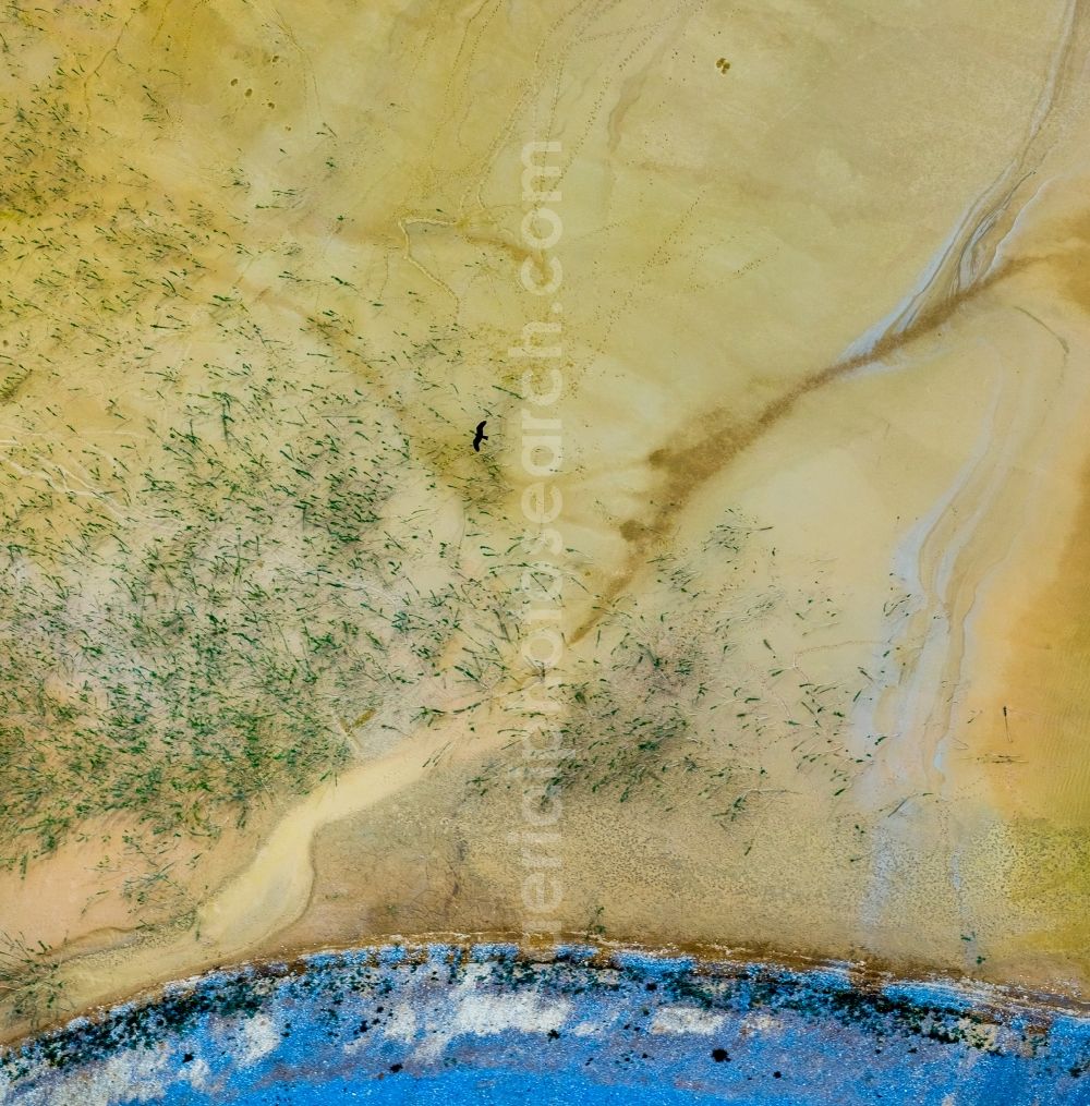 Aerial image Brilon - Deposits and rinsing fields on the quarry for the mining and handling of of Rheinkalk Messinghausen GmbH & Co. KG in Brilon in the state North Rhine-Westphalia, Germany