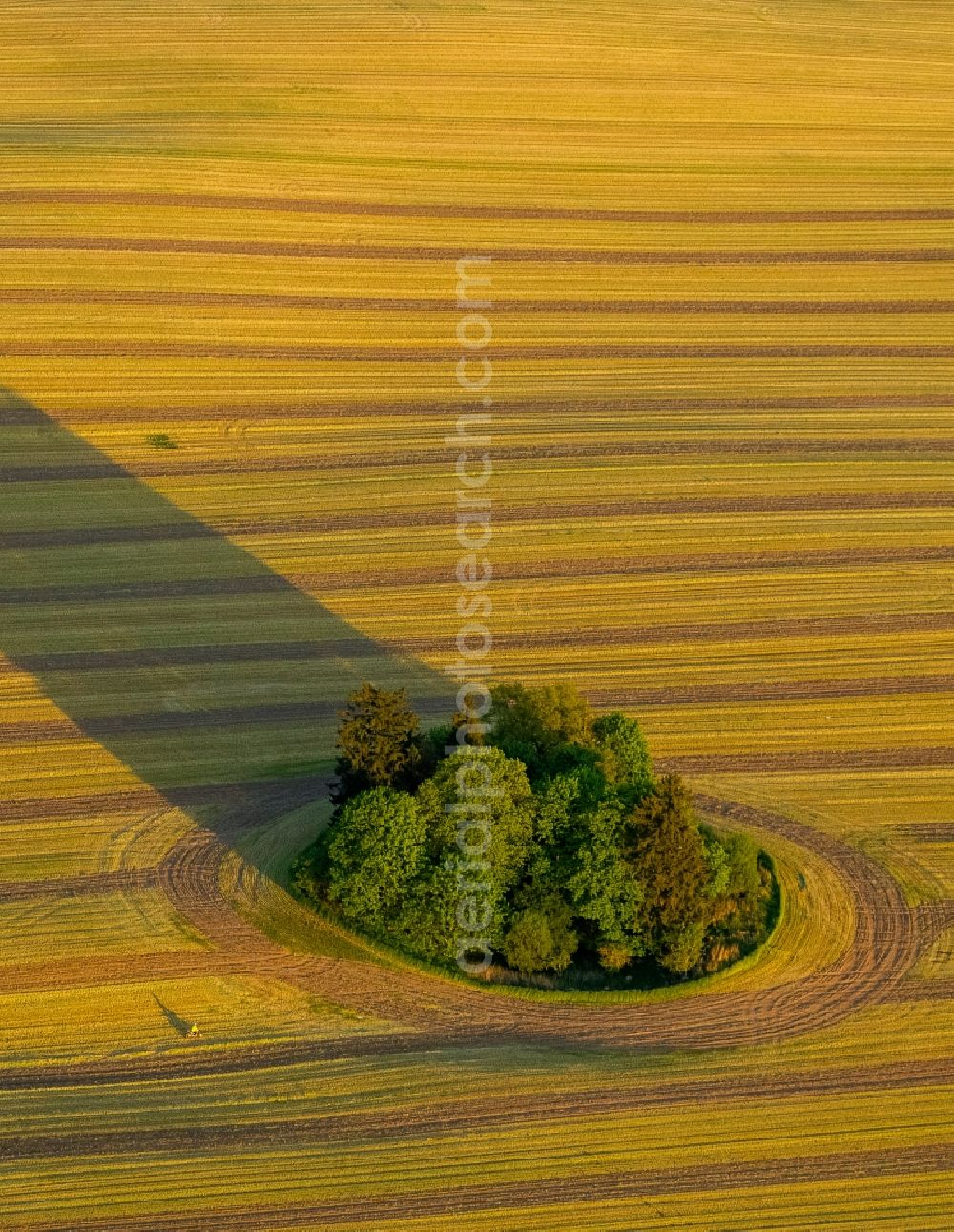 Aerial image Stuer - View of a field near Stuer in the state Mecklenburg-West Pomerania