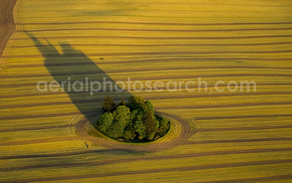 Aerial photograph Stuer - View of a field near Stuer in the state Mecklenburg-West Pomerania