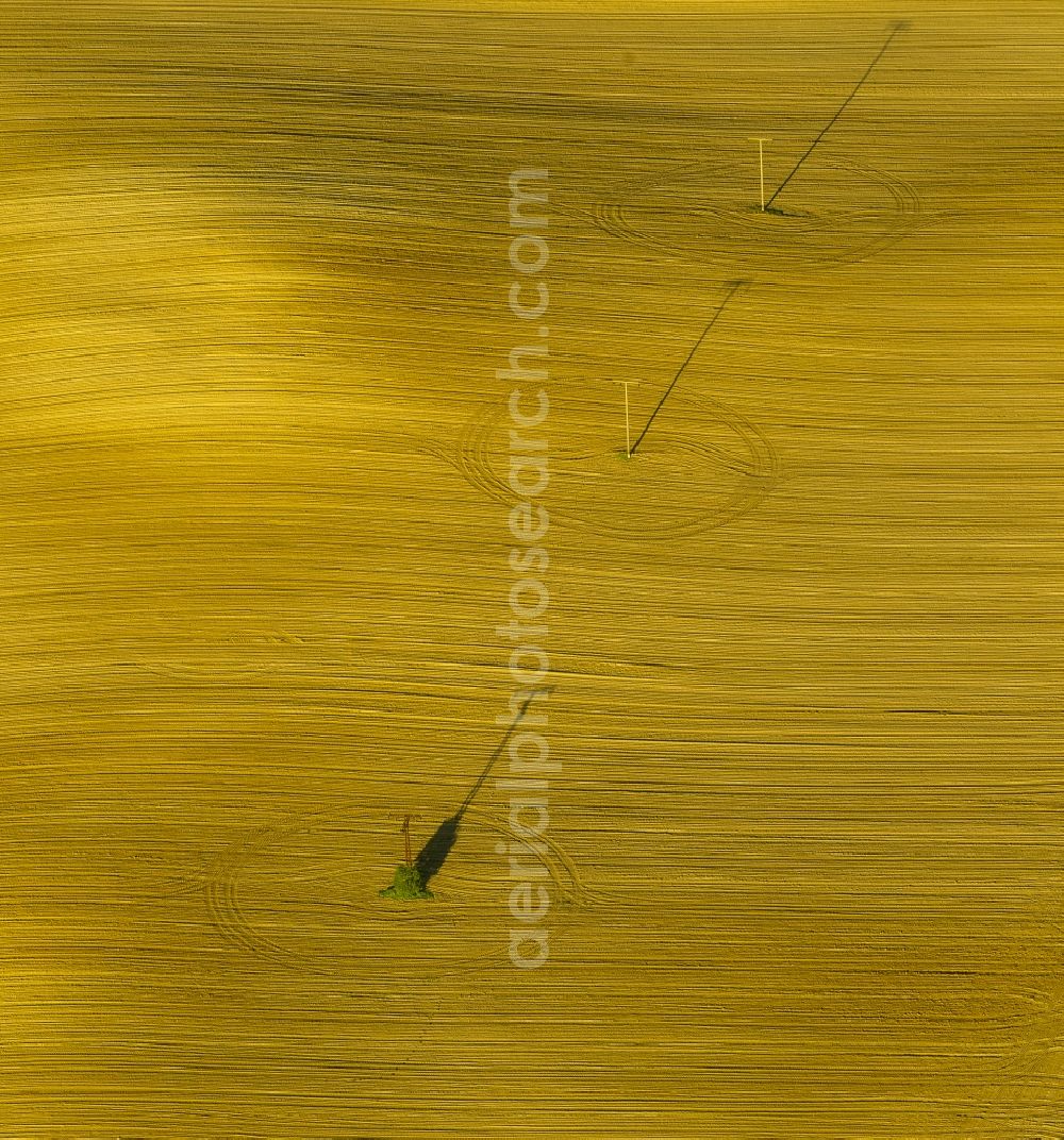 Gutow from the bird's eye view: View of a field in Gutow in the state Mecklenburg-West Pomerania