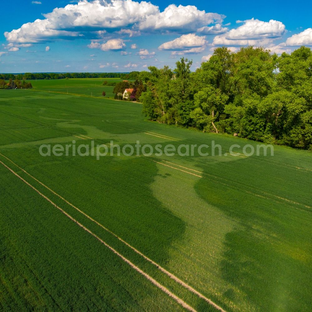 Küstriner Vorland from the bird's eye view: Field with sichtbarem ehemaligen Bachverlauf Auswaschung in Kuestriner Vorland in the state Brandenburg, Germany