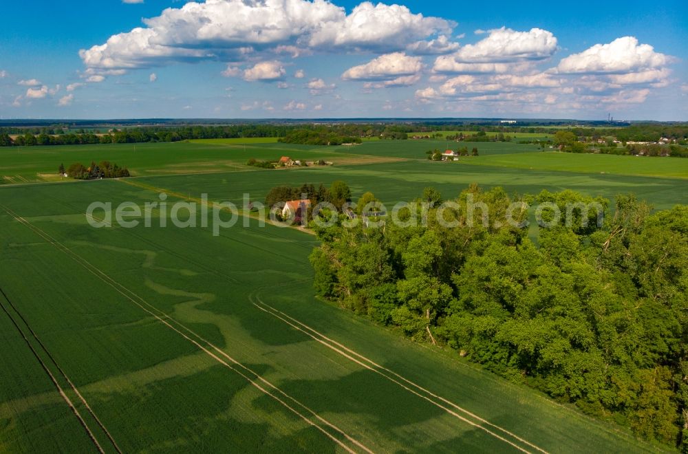 Aerial image Küstriner Vorland - Field with sichtbarem ehemaligen Bachverlauf Auswaschung in Kuestriner Vorland in the state Brandenburg, Germany