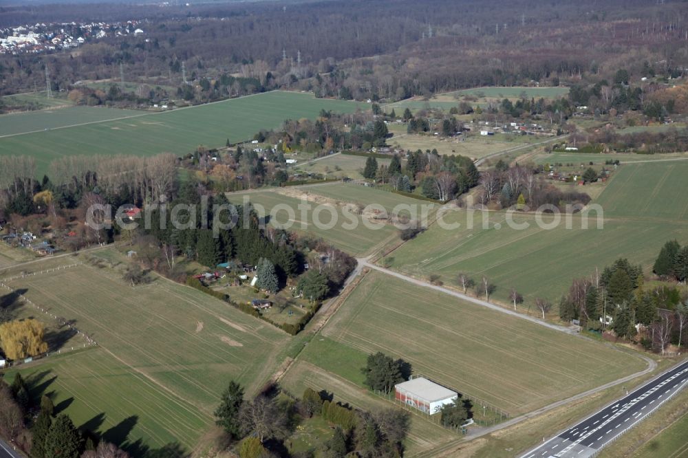 Egelsbach from above - Agricultural land, forest and small gardens on the eastern outskirts of Egelsbach in the state Hesse. egelsbach.de