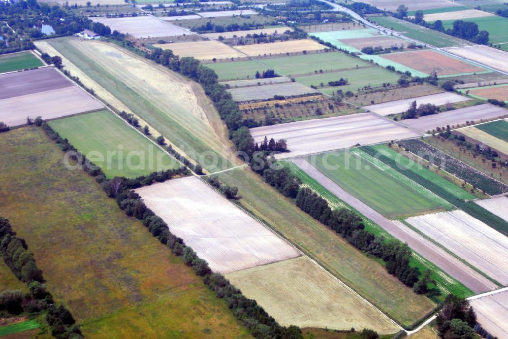 Aerial photograph Böhl-Iggelheim - Blick auf eine großflächige Ackerlandschaft bei Iggelheim. Böhl-Iggelheim ist eine verbandsfreie Gemeinde in der oberrheinischen Tiefebene in der Nähe von Mannheim. Böhl-Iggelheim entstand 1969 durch den Zusammenschluss der bis dahin selbständigen Gemeinden Böhl und Iggelheim.