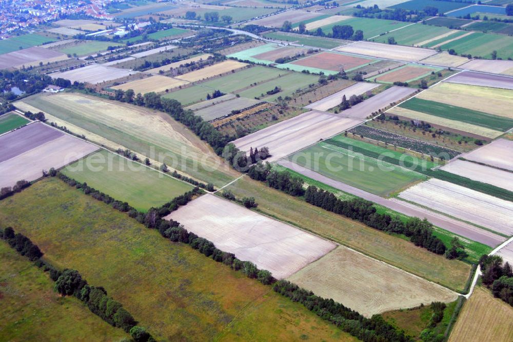 Böhl-Iggelheim from above - Blick auf eine großflächige Ackerlandschaft bei Iggelheim. Böhl-Iggelheim ist eine verbandsfreie Gemeinde in der oberrheinischen Tiefebene in der Nähe von Mannheim. Böhl-Iggelheim entstand 1969 durch den Zusammenschluss der bis dahin selbständigen Gemeinden Böhl und Iggelheim.