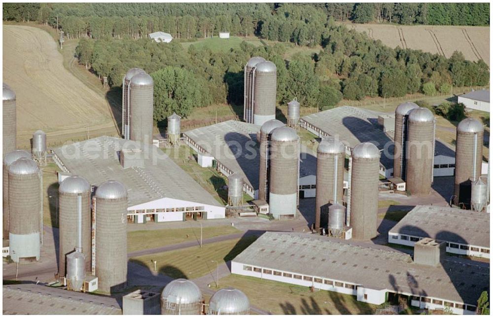 Ferdinandshof from above - 15.08.2004, Ferdinandshof Blick auf einen Agrarbetrieb bei Ferdinandshof im Friedland. Viehzucht und Getreideanbau werden hier betrieben.