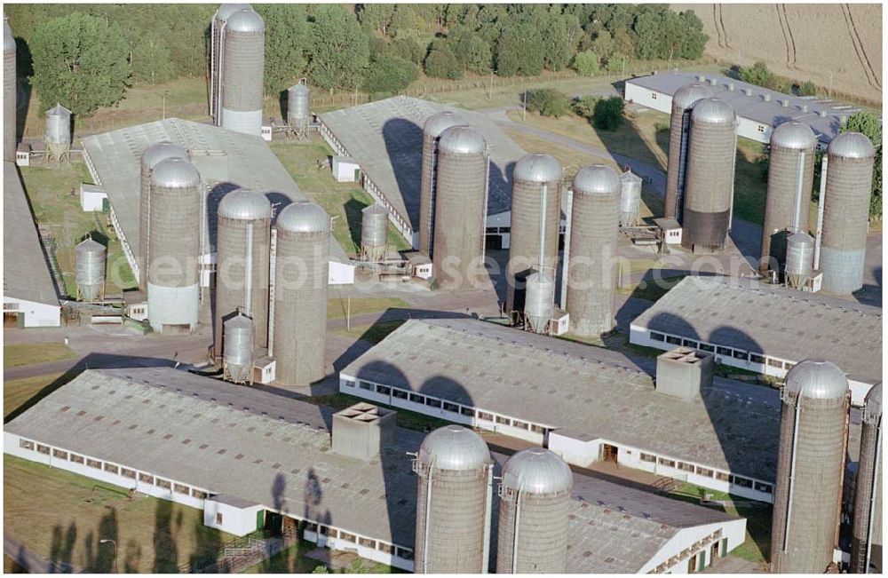 Ferdinandshof from the bird's eye view: 15.08.2004, Ferdinandshof Blick auf einen Agrarbetrieb bei Ferdinandshof im Friedland. Viehzucht und Getreideanbau werden hier betrieben.