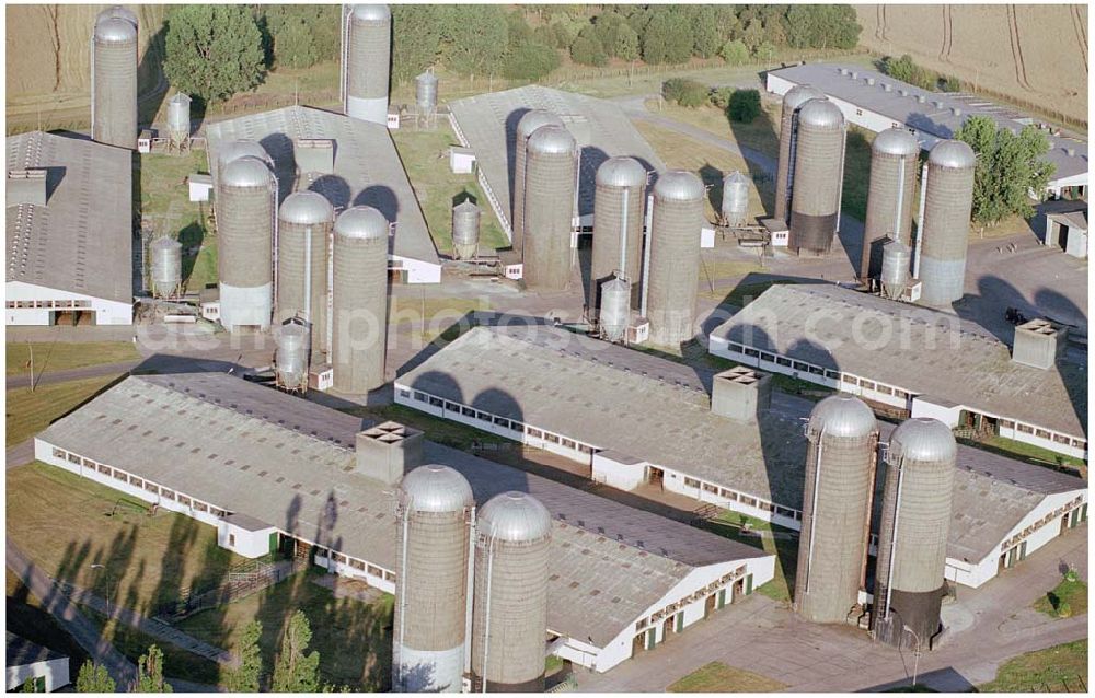 Aerial image Ferdinandshof - 15.08.2004, Ferdinandshof Blick auf einen Agrarbetrieb bei Ferdinandshof im Friedland. Viehzucht und Getreideanbau werden hier betrieben.