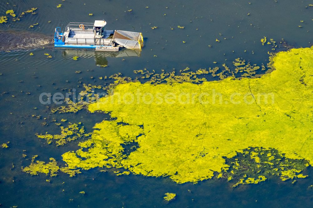 Aerial photograph Herbede - Ship - special ship in motion to salvage Elodea blue-green algae on the Kemnader See in Herbede in the Ruhr area in the state of North Rhine-Westphalia, Germany