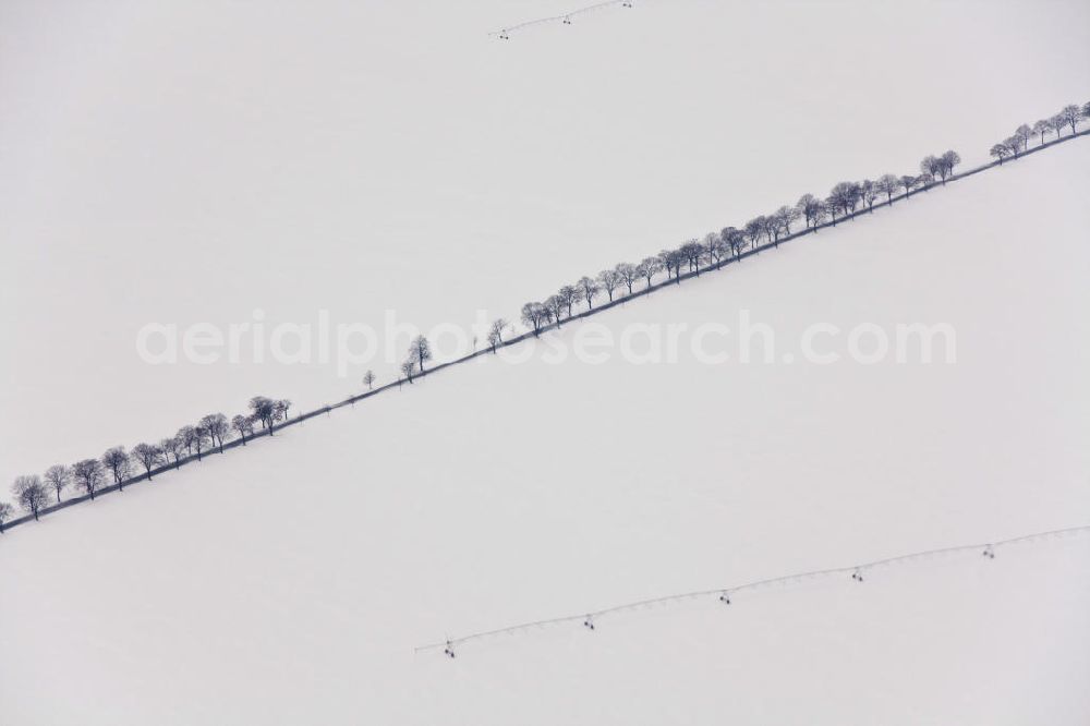 Oehna from above - Winterliche Allee im Anflug auf den Flugplatz Oehna