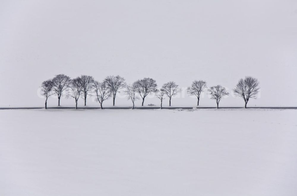 Oehna from the bird's eye view: Winterliche Allee im Anflug auf den Flugplatz Oehna