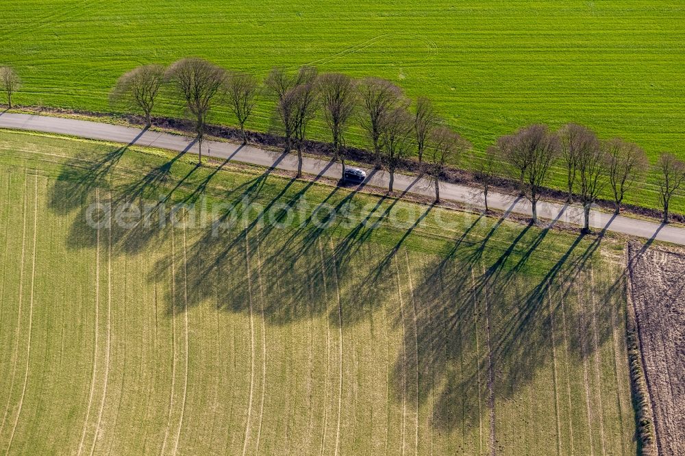 Haltern am See from above - View of an alley in Haltern am See in the state of North Rhine-Westphalia