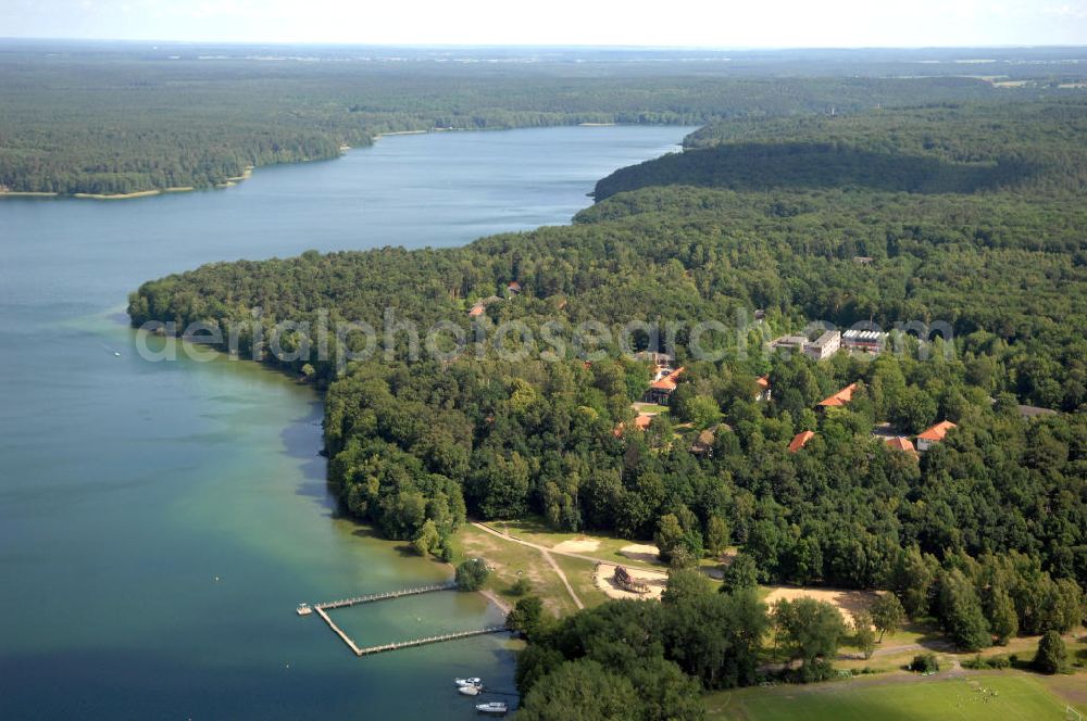 Aerial photograph Altenhof - Blick auf die Stadt Altenhof am Südufer des Werbellinsee im Biosphärenreservat Schorfheide-Chorin in Brandenburg. Kontakt: