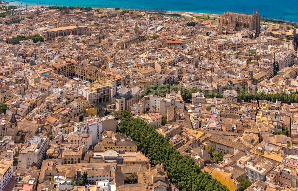 Palma from above - Old Town area and city center on Placa del Mercat with Blick auf das Kirchengebaeude of Santa Iglesia Catedral de Mallorca in Palma in Balearic island of Mallorca, Spain