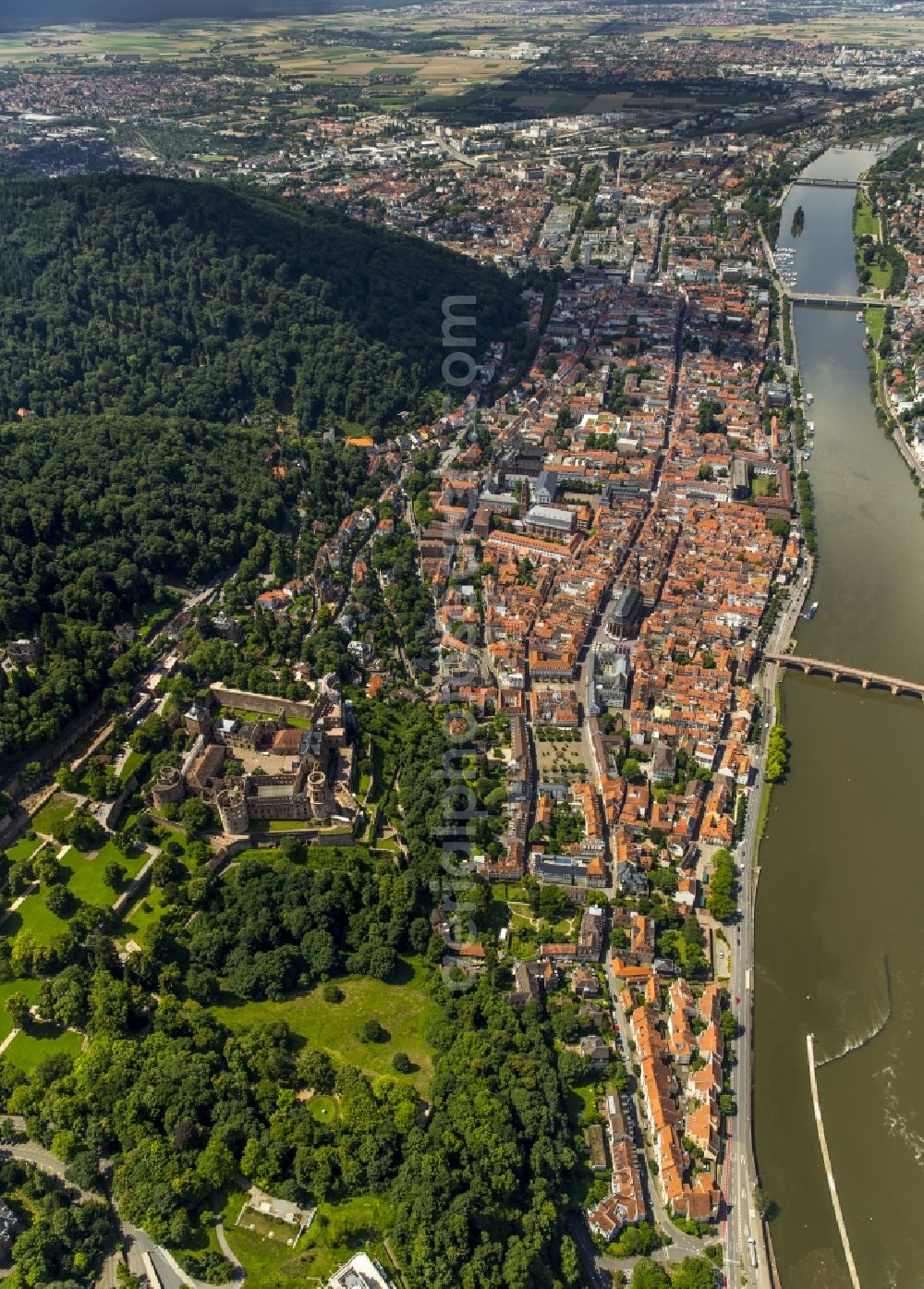 Heidelberg from above - Old Town area and city center in Heidelberg in the state Baden-Wuerttemberg