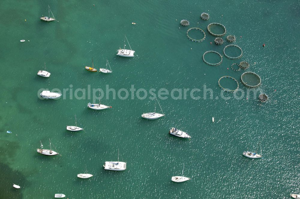 Aerial image Port d’Andratx - Ankernde Boote bei den Fisch- und Austernreussen im Hafen von Port d’Andratx auf Mallorca. Anchoring ships and bow-nets in the harbor of Port d’Andratx on Majorca.