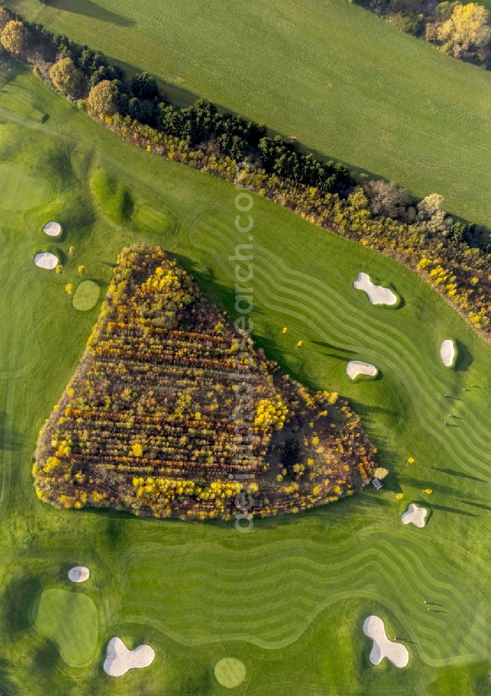 Aerial image Duisburg - View of the autumnal golf course of the club Golf And More at Altenbrucher Damm in Duisburg - Huckingen in the state North Rhine-Westphalia. The golf links with its fairway, rough, bunkering and putting green is located directly on the banks of the lake Remberger See in the south of the Ruhr region city Duisburg