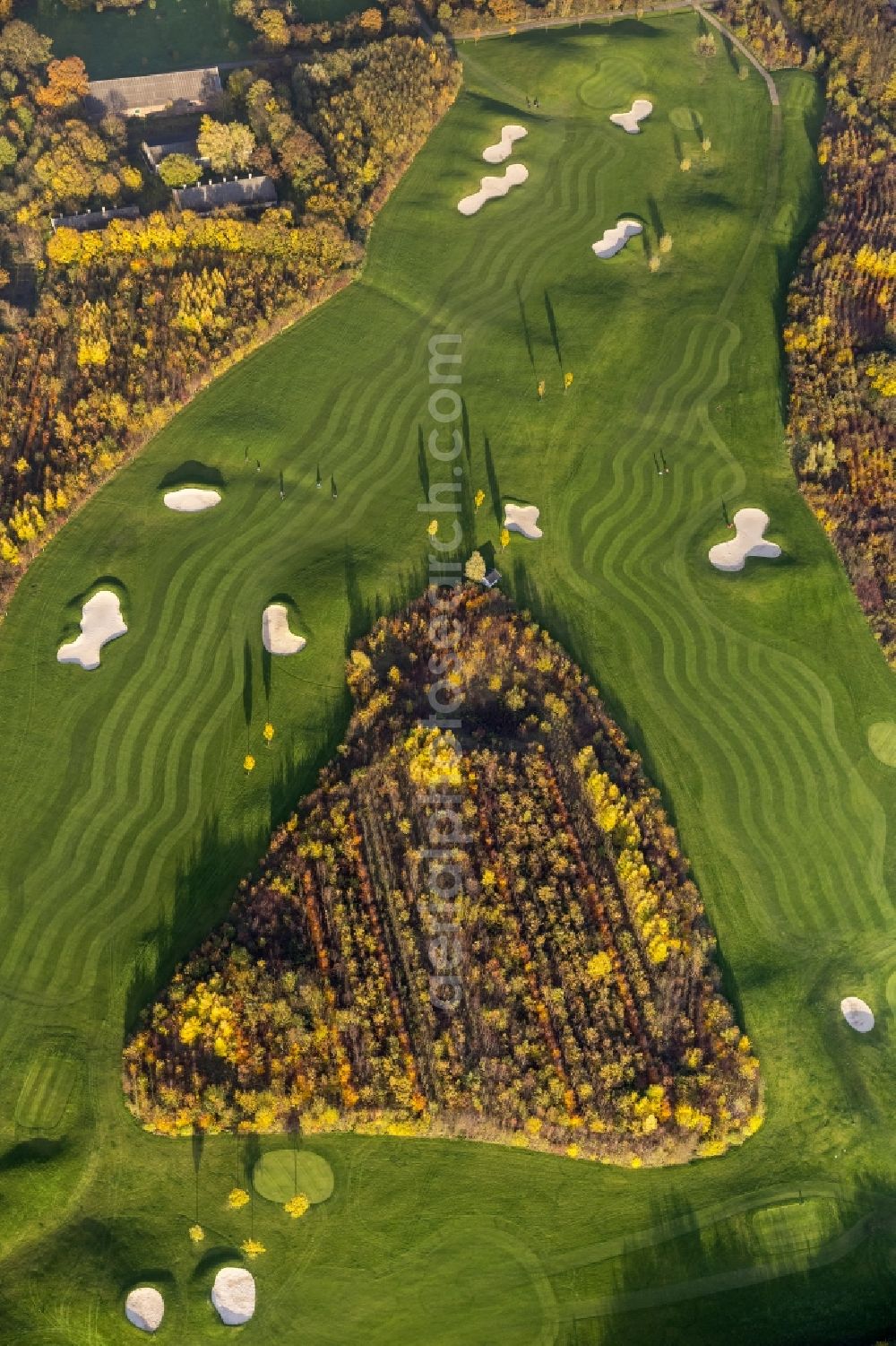 Aerial photograph Duisburg - View of the autumnal golf course of the club Golf And More at Altenbrucher Damm in Duisburg - Huckingen in the state North Rhine-Westphalia. The golf links with its fairway, rough, bunkering and putting green is located directly on the banks of the lake Remberger See in the south of the Ruhr region city Duisburg