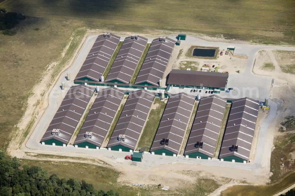 Aerial image Bestensee - Poultry farming in Bestensee in Brandenburg